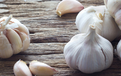 Česen (Allium sativum) Česen (Allium sativum)